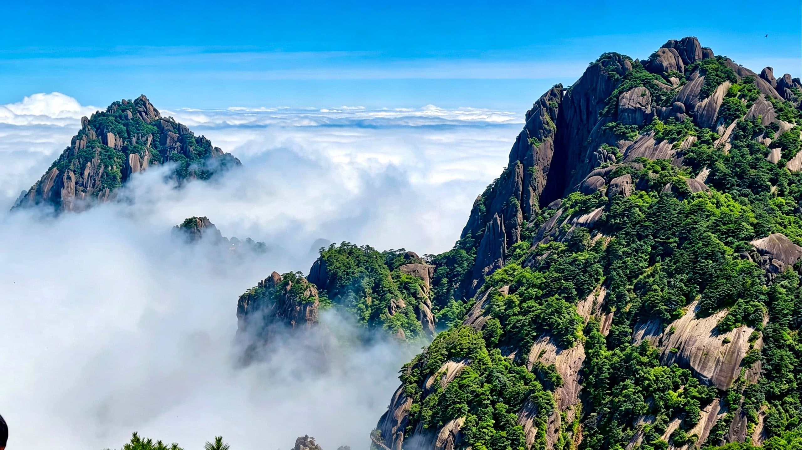 黄山相册第 7 张照片