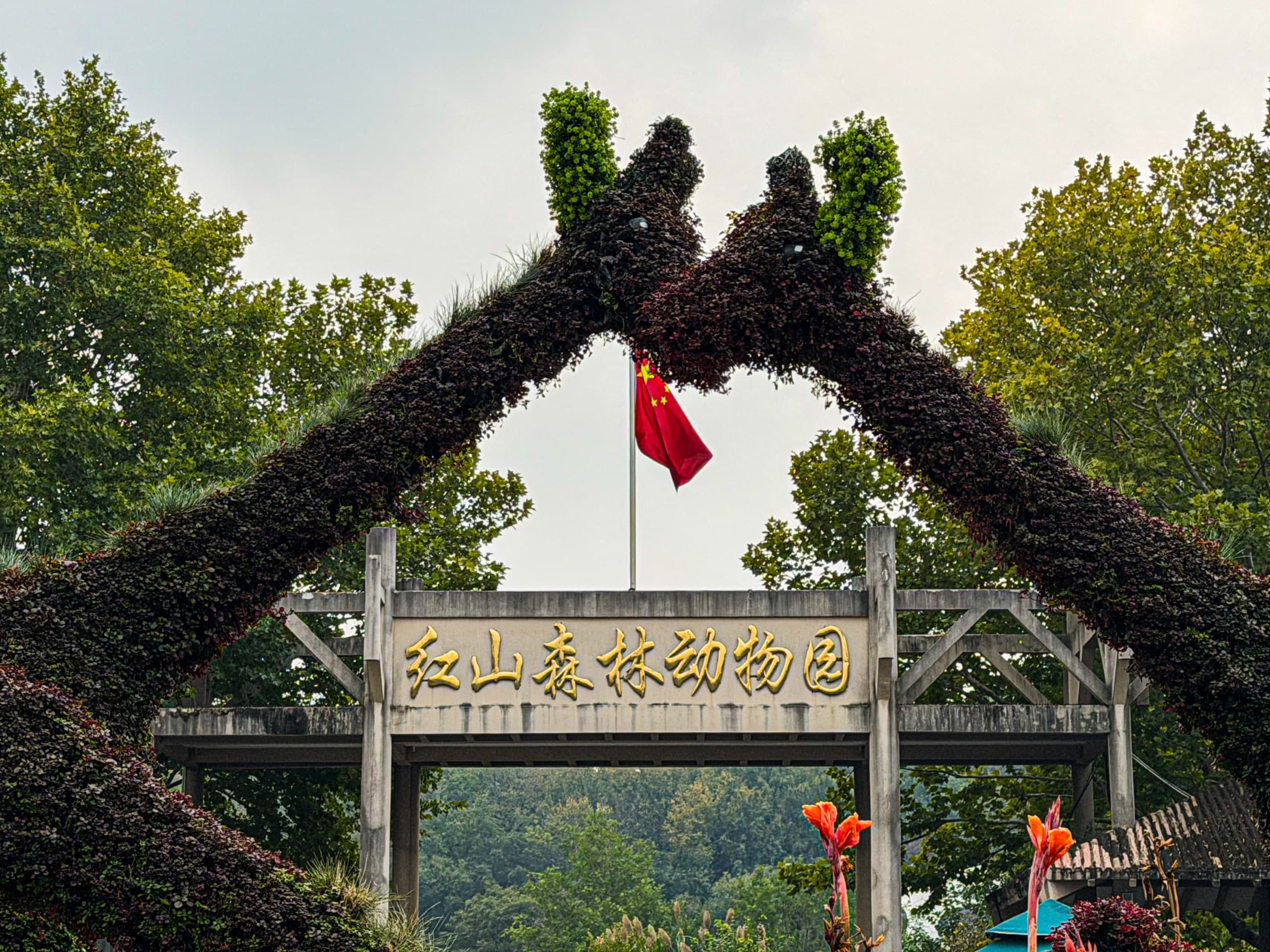 南京相册第 13 张照片