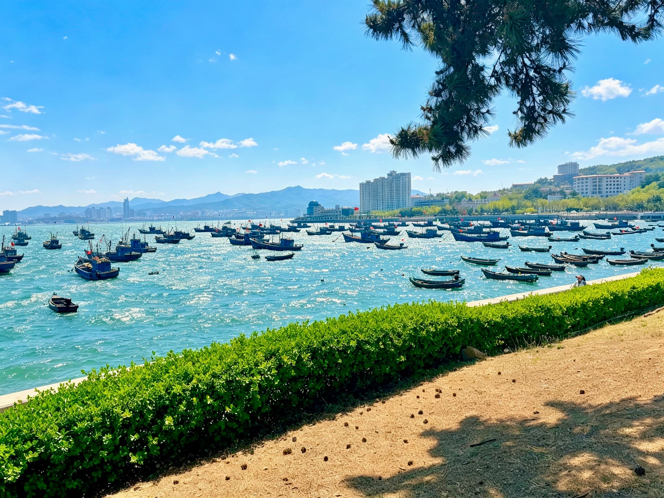 威海相册第 17 张照片